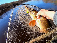 Объявление о подготовке и заключении договоров пользования водными биологическими ресурсами, общий допустимый улов которых не устанавливается, на 2026 год. 