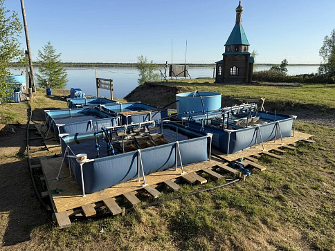 В период с 08 по 09 июня 2026 года руководитель Восточно-Сибирского территориального управления Росрыболовства Кучеров Николай Дмитриевич